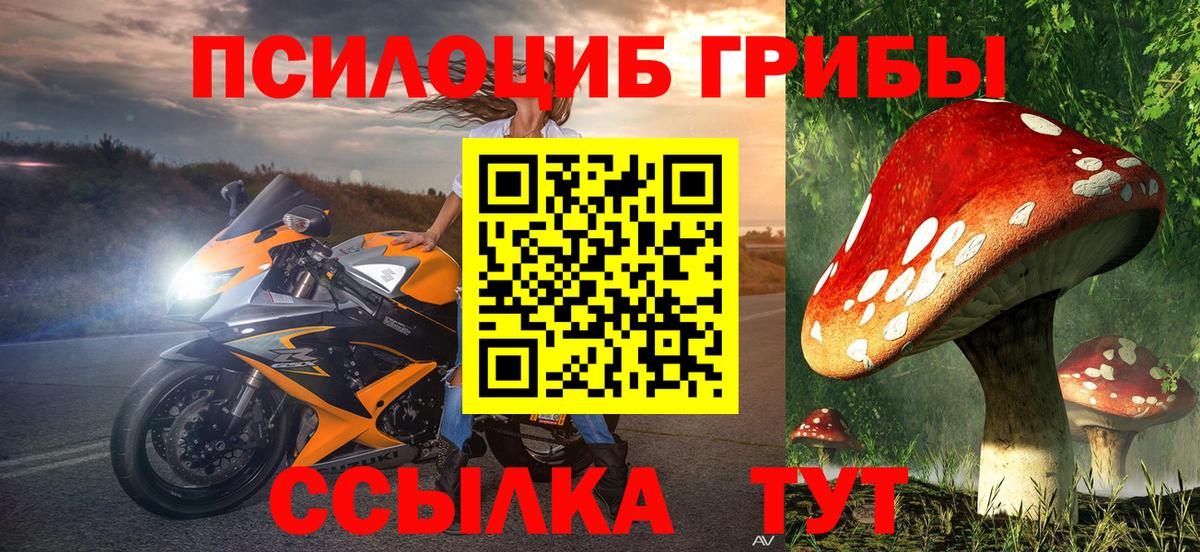 Галлюциногенные грибы ЛСД Городец